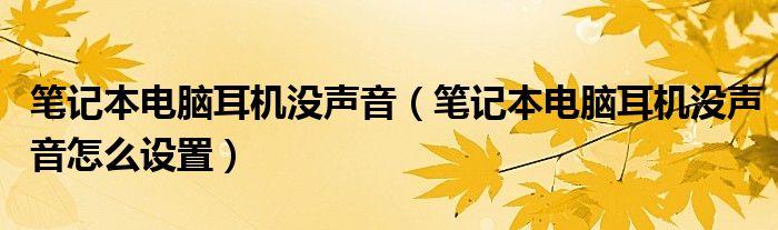 筆記本電腦耳機(jī)沒聲音（筆記本電腦耳機(jī)沒聲音怎么設(shè)置）