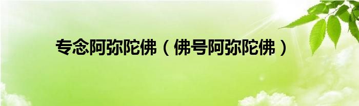 專念阿彌陀佛（佛號阿彌陀佛）
