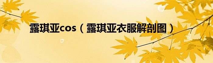 露琪亞cos（露琪亞衣服解剖圖）