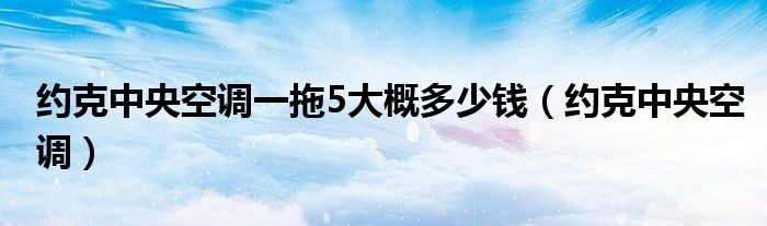 約克中央空調(diào)一拖5大概多少錢（約克中央空調(diào)）