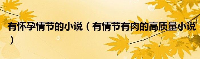 有懷孕情節(jié)的小說（有情節(jié)有肉的高質(zhì)量小說）