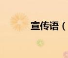 宣傳語(yǔ)（說(shuō)一說(shuō)宣傳語(yǔ)的簡(jiǎn)介）