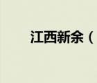 江西新余（說一說江西新余的簡介）