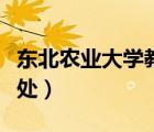 東北農(nóng)業(yè)大學(xué)教務(wù)處電話（東北農(nóng)業(yè)大學(xué)教務(wù)處）