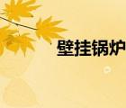 壁掛鍋爐故障大全（壁掛鍋爐）