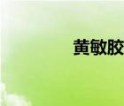 黃敏膠囊圖片（黃敏膠囊）