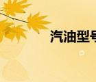 汽油型號有幾種（汽油型號）