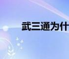 武三通為什么喜歡何沅君（武三通）