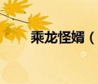 乘龍怪婿（說一說乘龍怪婿的簡介）