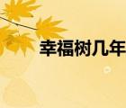 幸福樹幾年開花（幸福樹開花圖片）