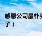 感恩公司最樸實的句子（感恩對我好的人的句子）