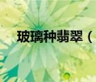 玻璃種翡翠（說一說玻璃種翡翠的簡(jiǎn)介）