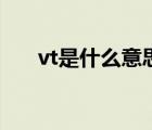 vt是什么意思的縮寫（vt是什么意思）