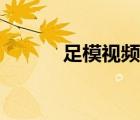 足模視頻教程（97179足模網(wǎng)）