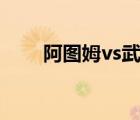 阿圖姆vs武藤游戲完整版（阿圖姆）