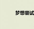 夢想嘗試在線閱讀（夢想嘗試）