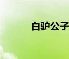 白驢公子全文閱讀（白驢公子）