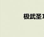 極武圣100級加點（極武圣）