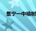 集寧一中榆樹(shù)灣校區(qū)（內(nèi)蒙古集寧一中）