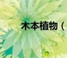 木本植物（說一說木本植物的簡介）