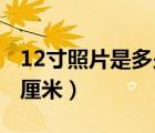 12寸照片是多少厘米 長寬（12寸照片是多少厘米）