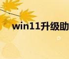 win11升級助手閃退（win11升級助手）