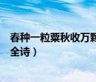 春種一粒粟秋收萬(wàn)顆子全詩(shī)描述了（春種一粒粟秋收萬(wàn)顆子全詩(shī)）
