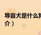 導(dǎo)盲犬是什么狗（說一說導(dǎo)盲犬是什么狗的簡介）