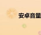 安卓音量調(diào)節(jié)器（音量調(diào)節(jié)器）