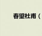 春望杜甫（說一說春望杜甫的簡介）