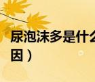 尿泡沫多是什么原因引起（尿泡沫多是什么原因）