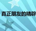 真正朋友的精辟句子（關(guān)于友情的唯美句子）