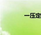 一壓定情小說（一壓定情）