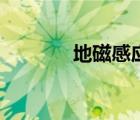 地磁感應(yīng)快速卷簾門（地磁）