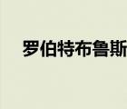 羅伯特布魯斯蜘蛛織網(wǎng)（羅伯特布魯斯）