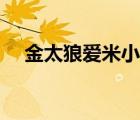 金太狼愛米小米片段（金太狼愛米小米）