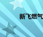 新飛燃氣灶官網（新飛燃氣灶）