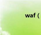 waf（說一說waf的簡介）