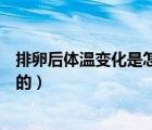 排卵后體溫變化是怎么樣的圖片（排卵后體溫變化是怎么樣的）