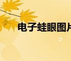 電子蛙眼圖片簡(jiǎn)筆畫(huà)（電子蛙眼圖片）