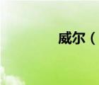 威爾（說一說威爾的簡(jiǎn)介）