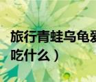 旅行青蛙烏龜愛吃什么特產(chǎn)（旅行青蛙烏龜愛吃什么）