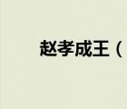 趙孝成王（說一說趙孝成王的簡(jiǎn)介）