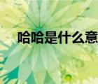 哈哈是什么意思日語（哈哈是什么意思）