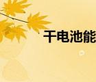 干電池能帶上飛機(jī)嗎（干電池）