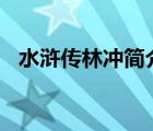 水滸傳林沖簡介300字（水滸傳林沖簡介）