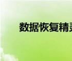 數(shù)據(jù)恢復精靈 4.4.0（數(shù)據(jù)恢復精靈）