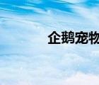 企鵝寵物（q寵企鵝官方下載）