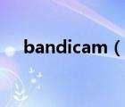bandicam（說一說bandicam的簡介）