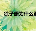 徐子珊為什么退出（徐子珊為什么被封殺）